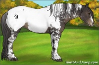Horse Color:Smoky Black Tobiano Near Fewspot 