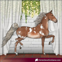 Horse Color:White Spotted Chestnut Mushroom 