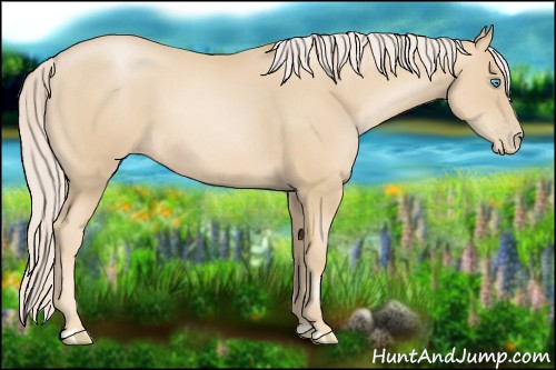 Horse Color:Palomino Pearl