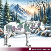 Horse Color:Watercolor White Spotted Silver Brown Splash 