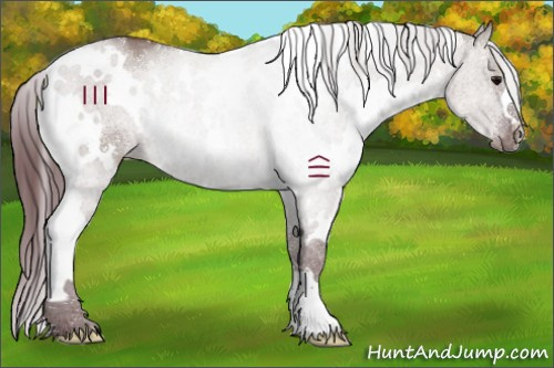 Horse Color:White Spotted Chocolate Grullo