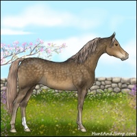 Horse Color:Chocolate Palomino Mushroom 