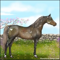Horse Color:White Spotted Chocolate Palomino 