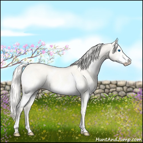 Horse Color:White Spotted Cremello Dun Splash 