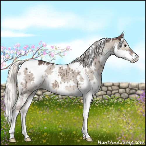 Horse Color:White Spotted Liver Red Dun Mushroom Splash Brindle 