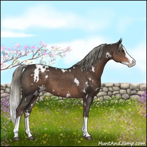 Horse Color:White Spotted Liver Chestnut Mushroom Splash 