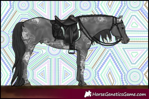 Horse Color:Black Ice 