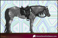 Horse Color:Black Ice 