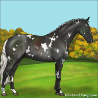 Horse Color:White Spotted Liver Chestnut Mushroom 