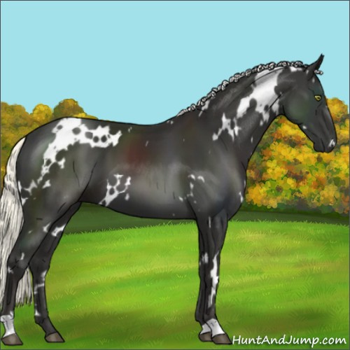 Horse Color:White Spotted Liver Chestnut Mushroom 