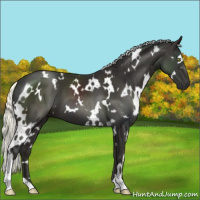 Horse Color:White Spotted Liver Chestnut Mushroom 
