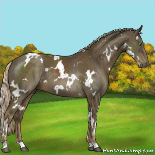 Horse Color:White Spotted Chocolate Palomino Mushroom 