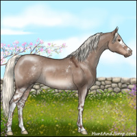 Horse Color:White Spotted Liver Red Dun Mushroom Sabino