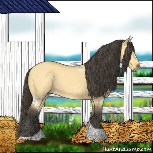 Horse Color:White Spotted Buckskin Dun Tobiano 