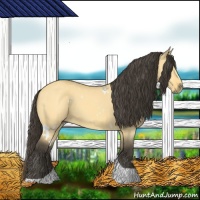 Horse Color:White Spotted Buckskin Dun Tobiano 