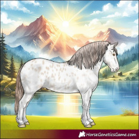 Horse Color:White Spotted Classic Champagne Dun Appaloosa Rabicano 