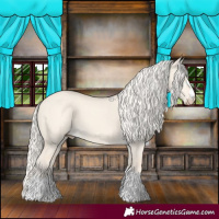 Horse Color:Cremello Dun 
