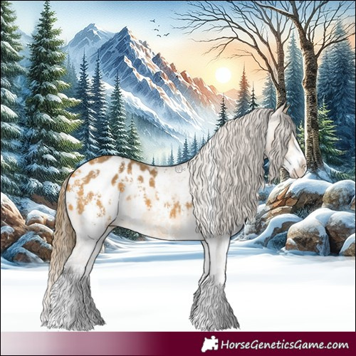 Horse Color:Buckskin Sabino Splash Appaloosa 