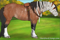 Horse Color:Bay Rabicano