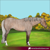 Horse Color:Silver Brown Roan Dun 