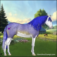 Horse Color:Watercolor Bay Splash 