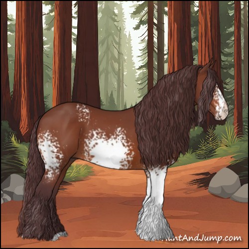 Horse Color:White Spotted Chocolate Bay