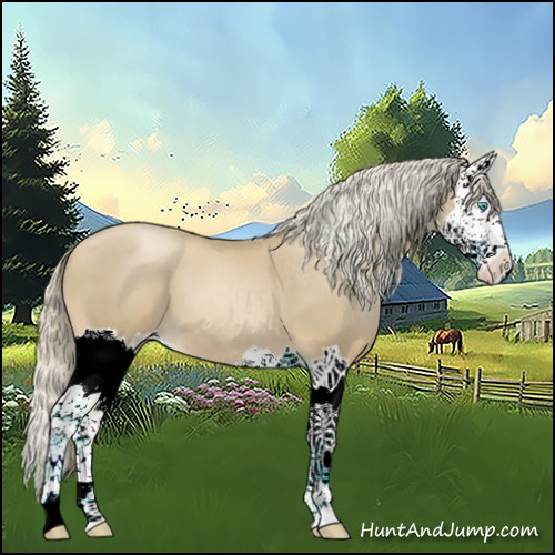 Horse Color:Watercolor Palomino Pearl Splash 