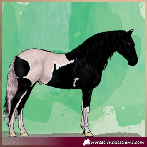 Horse Color:ERROR: UNKNOWN ANOMALY