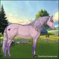 Horse Color:Watercolor Silver Brown Dun Sabino 