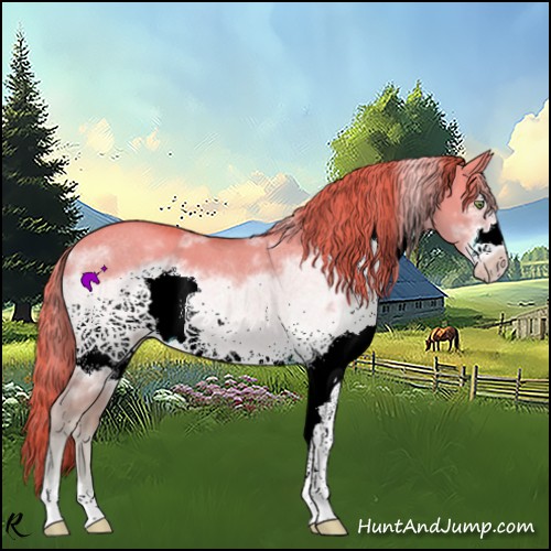 Horse Color:White Spotted Gold Champagne Dun Frame