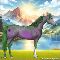 Horse Color:Watercolor Bay 