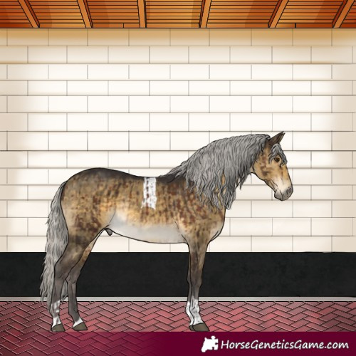 Horse Color:Silver Brown Mushroom Rabicano  and Silver Buckskin Dun Mushroom Tobiano Rabicano Brindle 