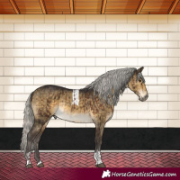 Horse Color:Silver Brown Mushroom Rabicano and Silver Buckskin Dun Mushroom Tobiano Rabicano Brindle