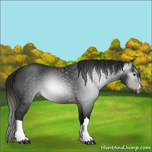 Horse Color:Gray Brown