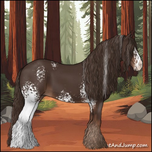 Horse Color:White Spotted Liver Chestnut 