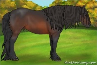 Horse Color:Brown 
