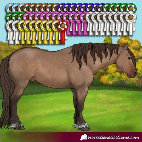 Horse Color:Liver Red Dun 