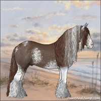 Horse Color:White Spotted Liver Chestnut 
