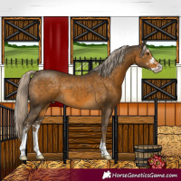 Horse Color:Chocolate Palomino Mushroom Sabino 