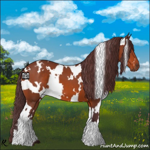 Horse Color:White Spotted Chocolate Bay 