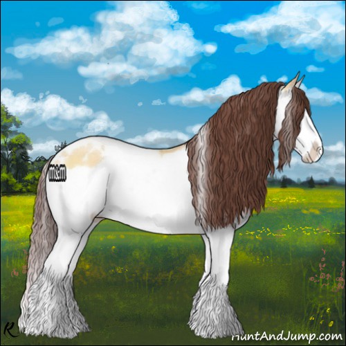 Horse Color:White Spotted Chocolate Buckskin Dun Splash
