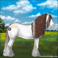 Horse Color:White Spotted Chocolate Buckskin Dun Splash 