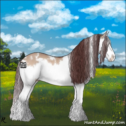 Horse Color:White Spotted Chocolate Bay Dun Splash