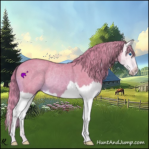 Horse Color:Watercolor Chestnut Splash Rabicano
