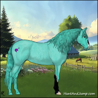 Horse Color:Watercolor Smoky Blue Roan 
