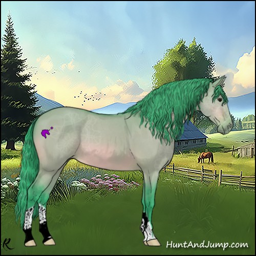 Horse Color:Watercolor Bay Roan Dun
