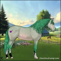 Horse Color:Watercolor Bay Roan Dun 