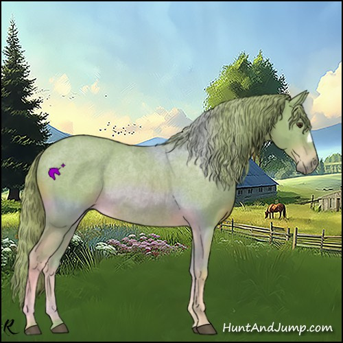 Horse Color:Watercolor Chestnut Rabicano 
