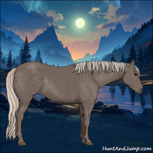 Horse Color:Silver Black 