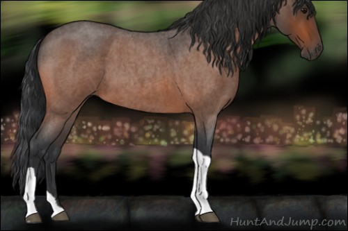 Horse Color:Bay Roan Tobiano 